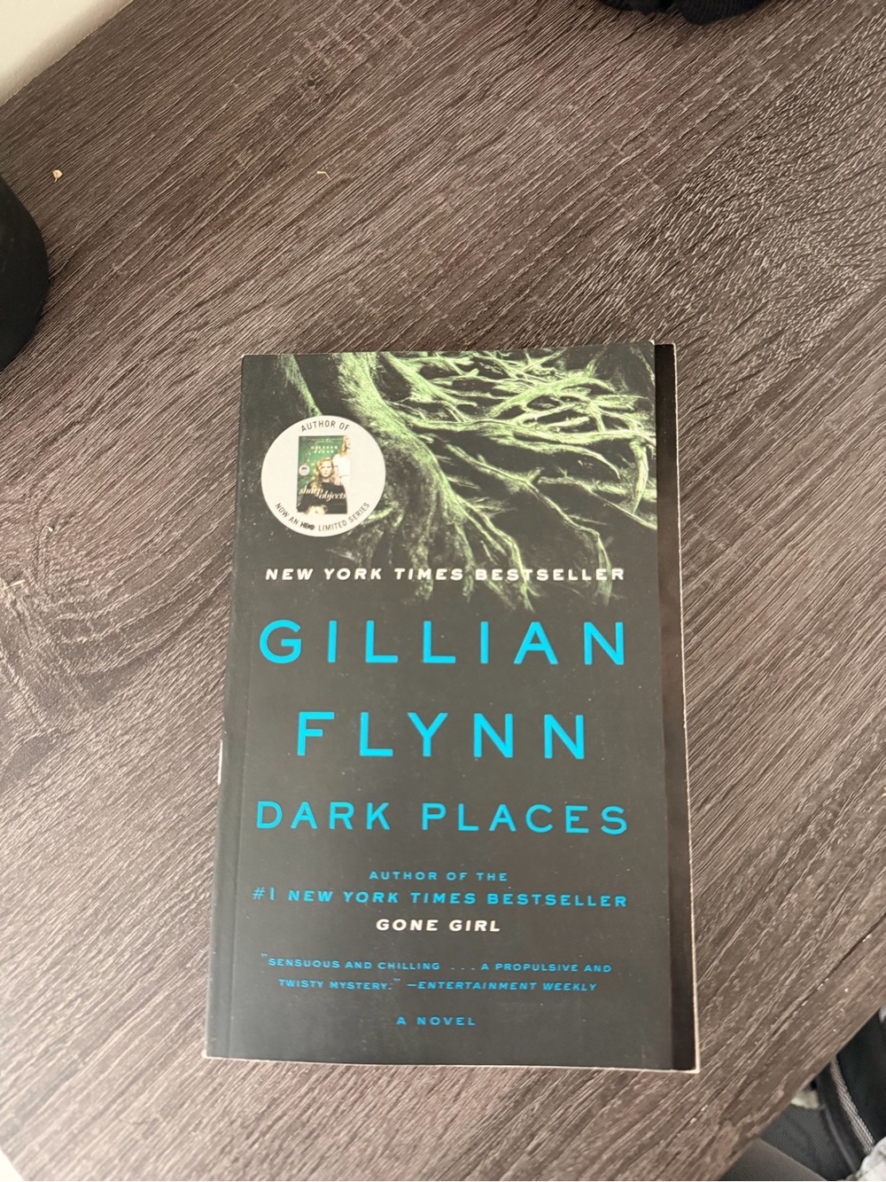 Dark Places - Gillian Flynn